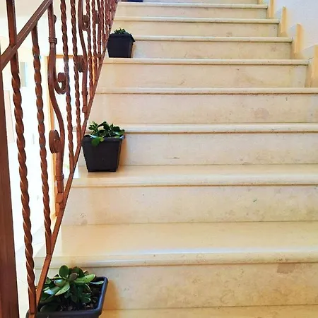 Plakoudis Stavros (Thessaloniki)